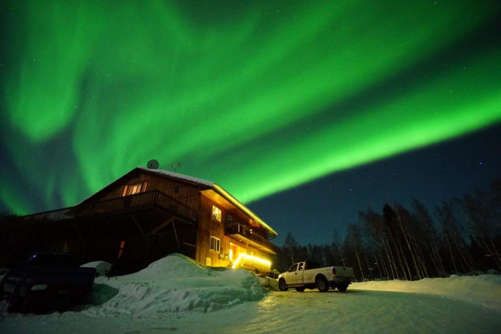 Alaska Grizzly Bed and breakfast