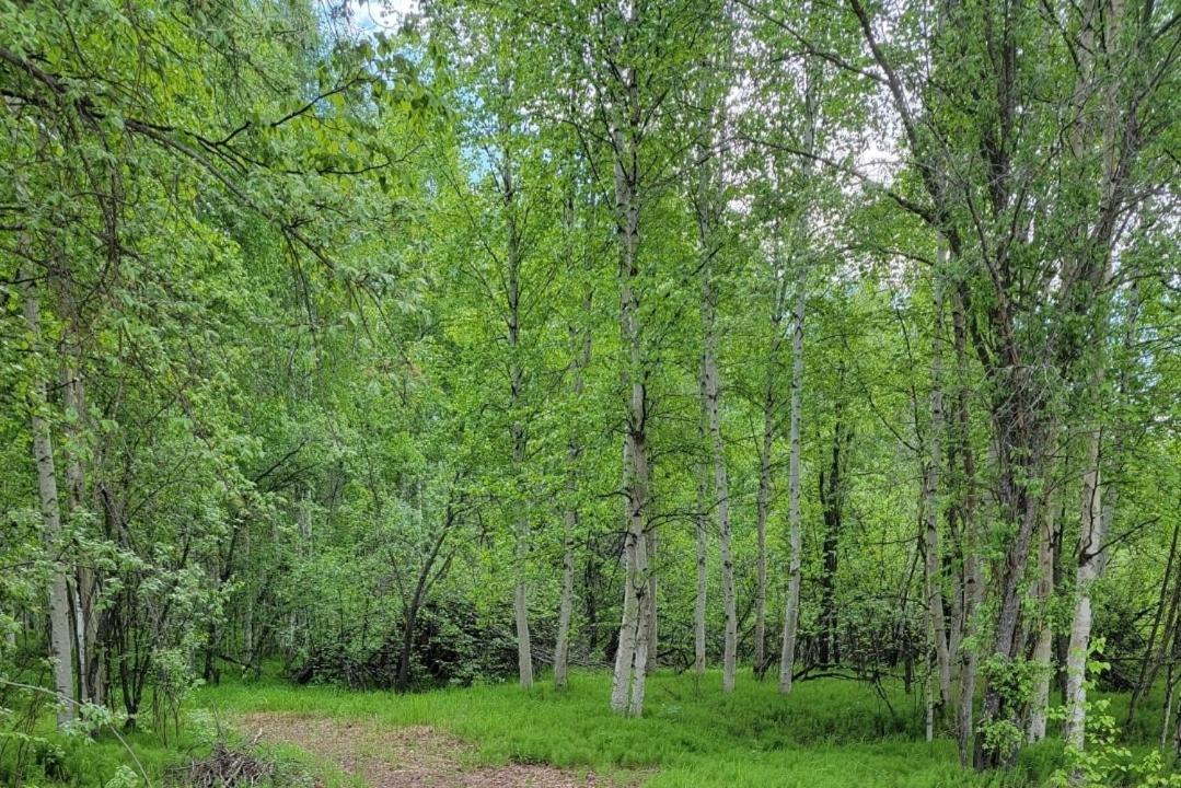 Alaska Grizzly Bed and breakfast Fairbanks